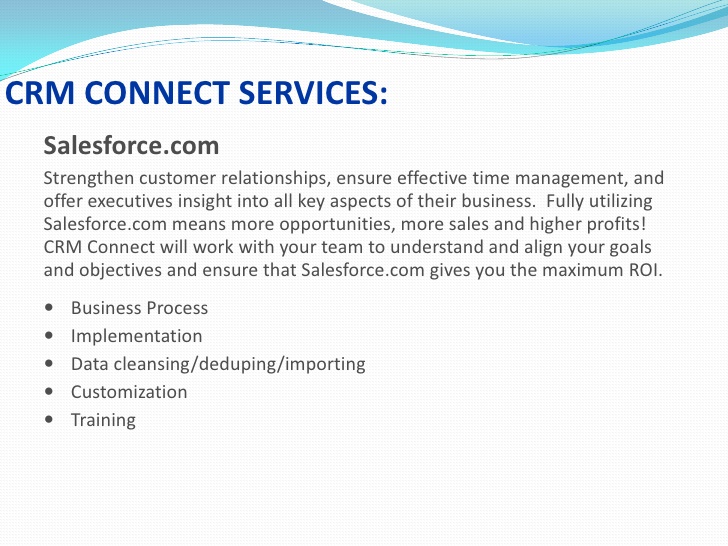 Crm Connect  Software Screenshot 3